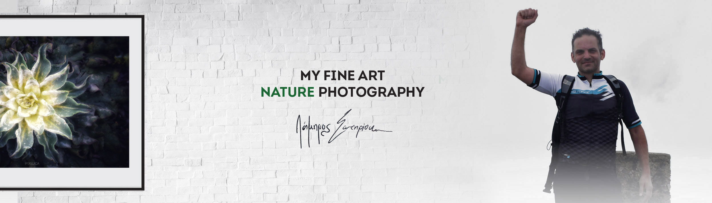 banner fineart