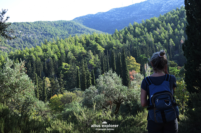 Υμηττός πεζοπορικο μονοπατι δασος καισαριανης