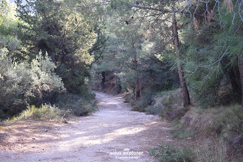 Υμηττός δασική πεζοπορική διαδρομή