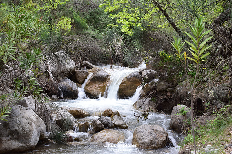 Οιτη πεζοπορική διαδρομή