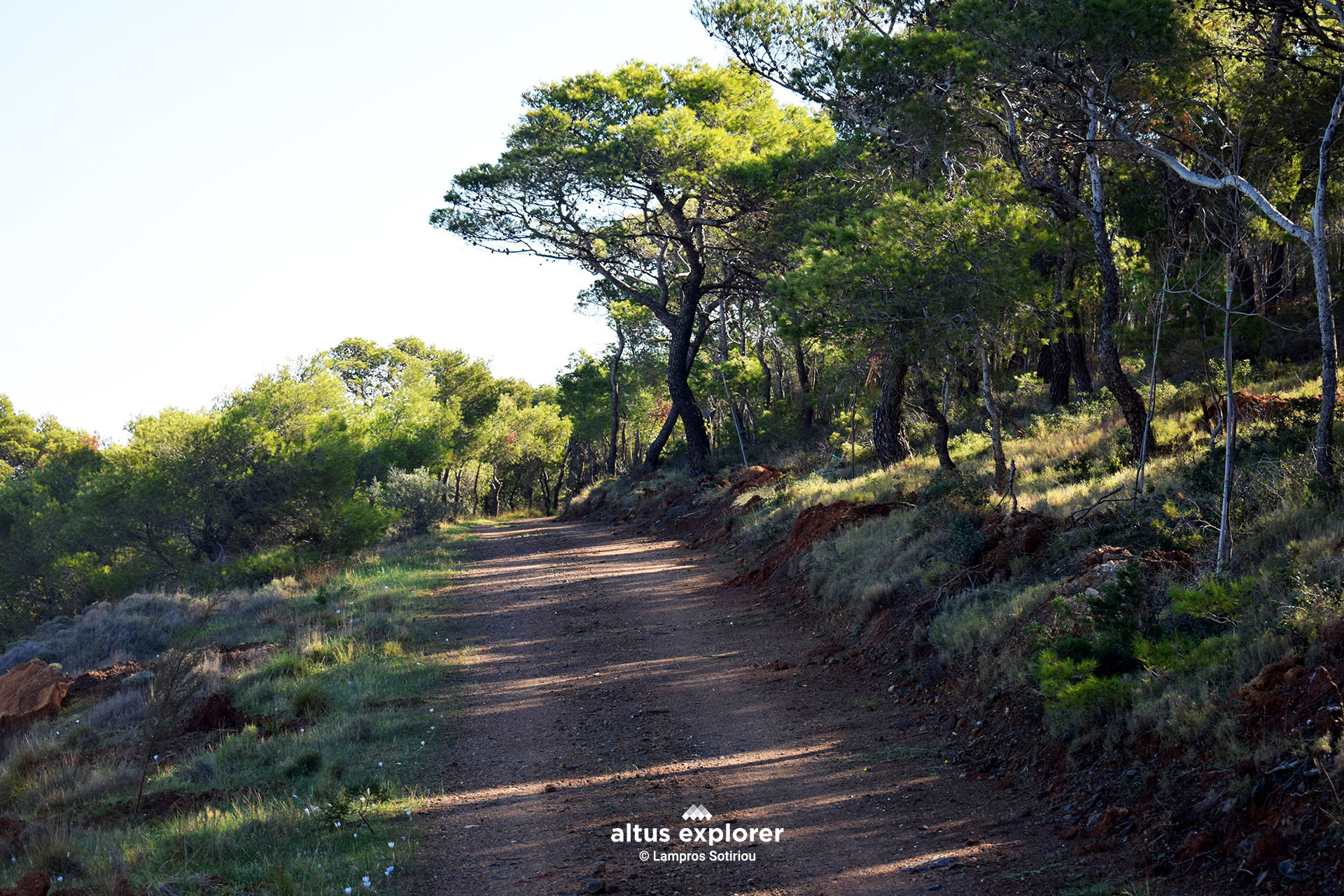 Εθνικός δρυμός Σουνιου (Altus Explorer)