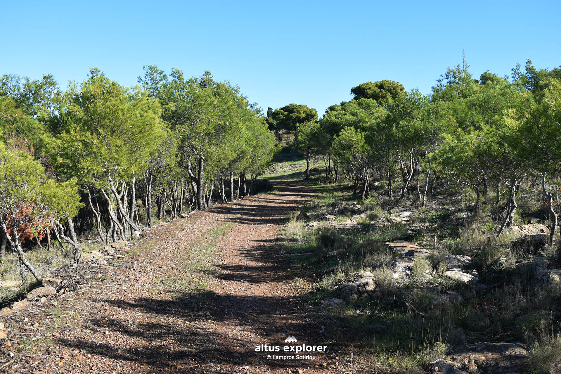 Εθνικος δρυμος Σουνιου