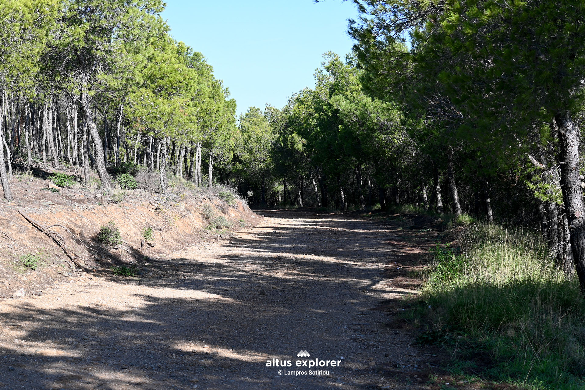 Εθνικος δρυμος Σουνιου