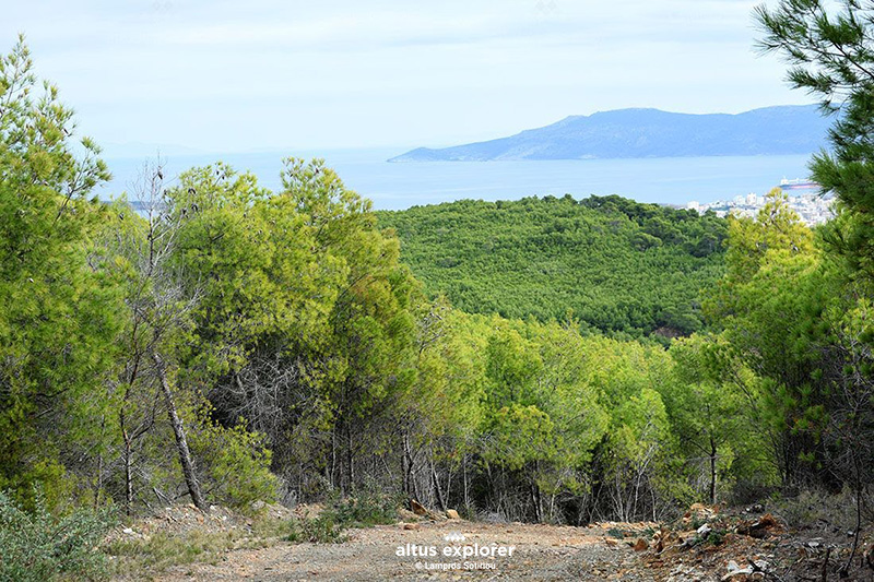 Εθνικός δρυμός Σουνιου διαδρομή πεζοπορίας