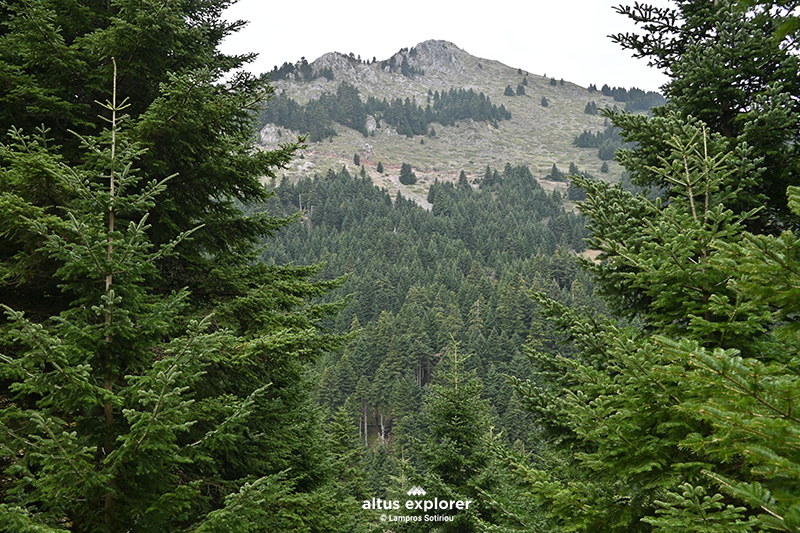 Πεζοπορικο μονμοπάτι προς γεφυρι Καμαρα