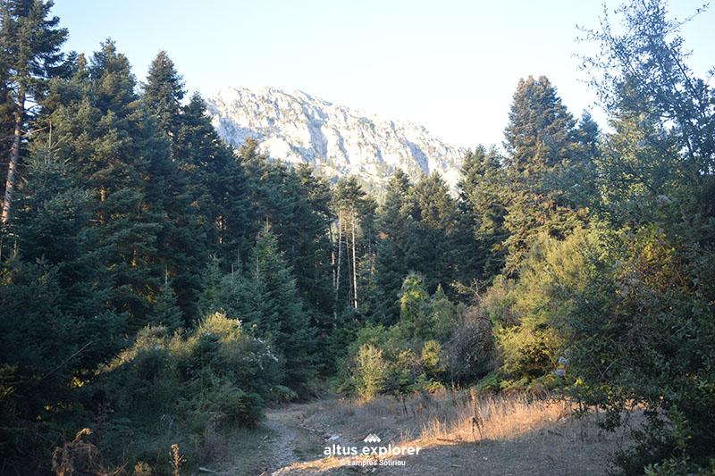 Doxa lake - trail