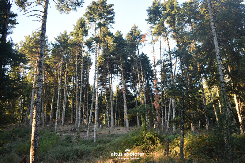 Doxa lake - trail