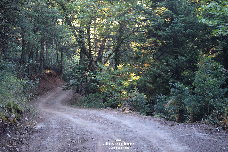 Doxa lake - trail