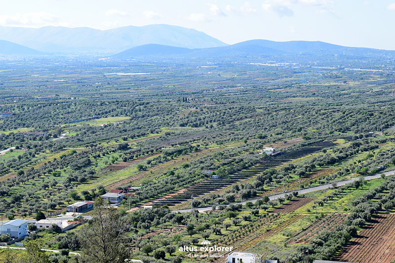 Μπουρα δασικος δρομος