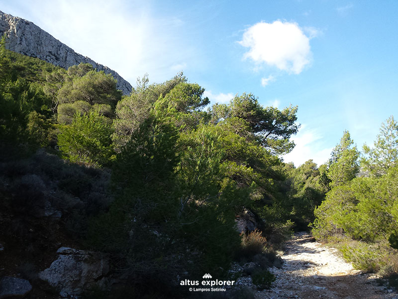 Υμηττός πεζοπορική διαδρομή