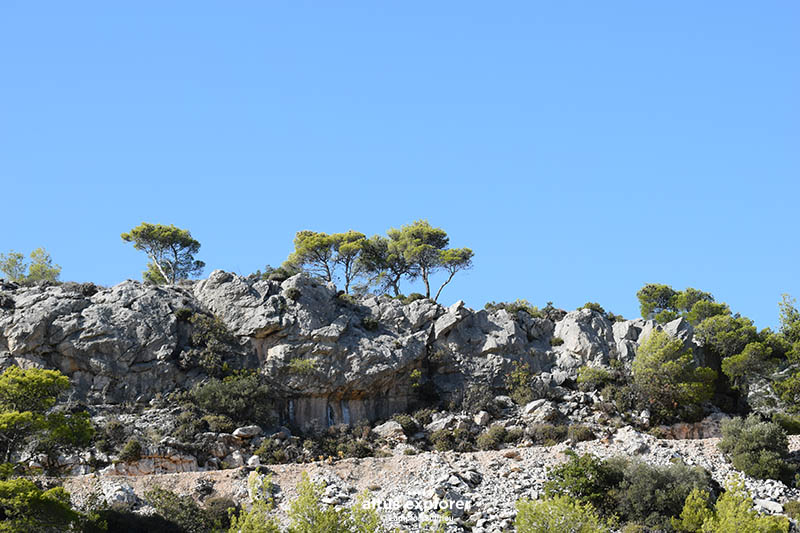 Υμηττός πεζοπορική διαδρομή