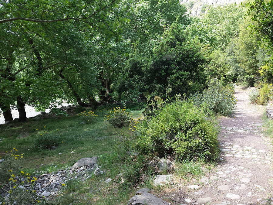 Πυλη