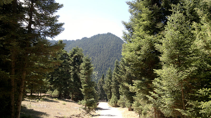 karpenisi hiking trail