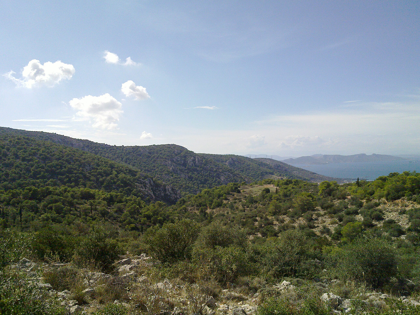 poikilo11